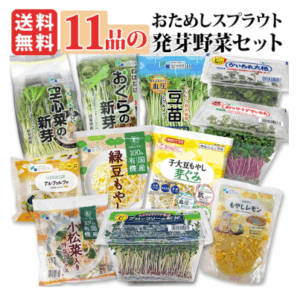 送料無料】おためし11品発芽野菜セット【スプラウト】-岐阜-中津川-ちこり村-本店-10-18-2025_01_59_PM